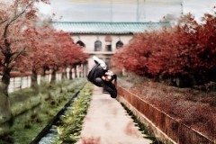 工具人中单与野核战术：版本答案的双核体系，节奏发动机致胜关键